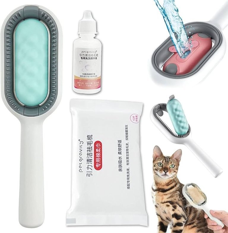 Should I Leave The Ac On For My Cat? Discover The Best Temperature Control For Your Feline Friend